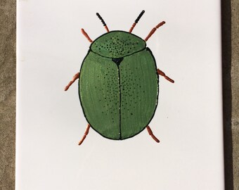 Green Mite, original ceramic tile painting, splashback, wall art, coaster