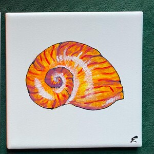 May include: A hand-painted seashell with orange, red, and white stripes on a white background.