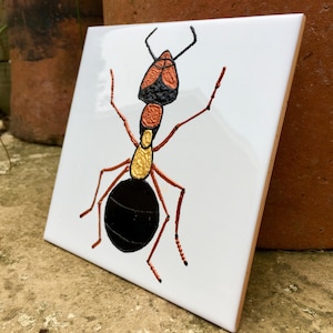 May include: A white ceramic tile with a hand-painted illustration of a red and black ant. The ant is depicted in a stylized, abstract manner, with its body segmented and its legs long and thin. The ant's head is large and round, with a pair of antennae.
