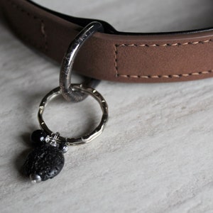 May include: A brown leather dog collar with a silver ring and a black lava rock charm.