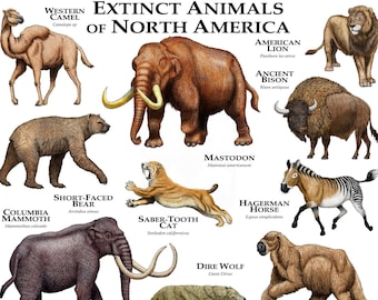 Extinct Mammals of North America Poster Print - Etsy