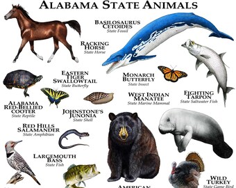 New Mexico State Animals Poster Print | Etsy