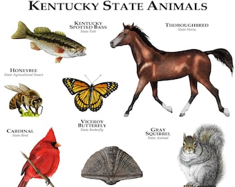 maine animals state poster print