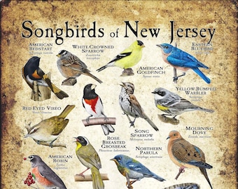 Songbirds of New Jersey Poster Print/Field Guide SIGNED BY ARTIST!