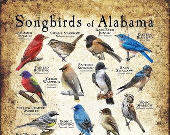Songbirds of Alabama Poster Print - Field Guide