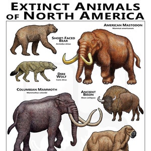 Extinct Animals of North America Poster
