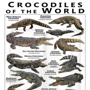 Crocodiles of the World Poster / Field Guide