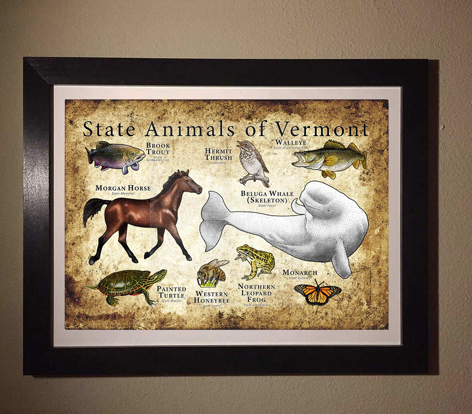 Vermont State Animals Poster Print Etsy