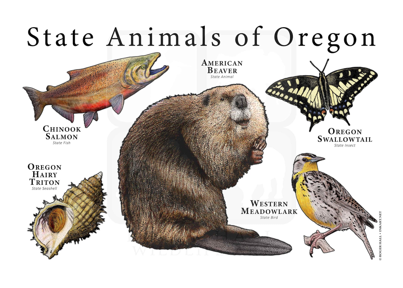 Oregon State Animals Poster Print - Etsy
