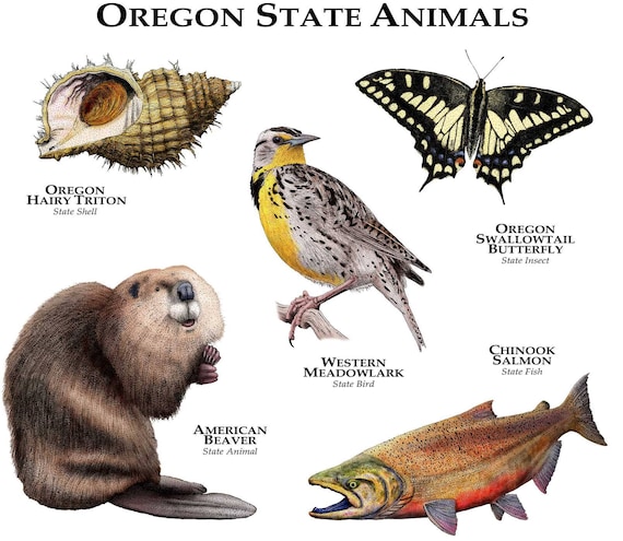 Oregon State Animals Poster Print | Etsy