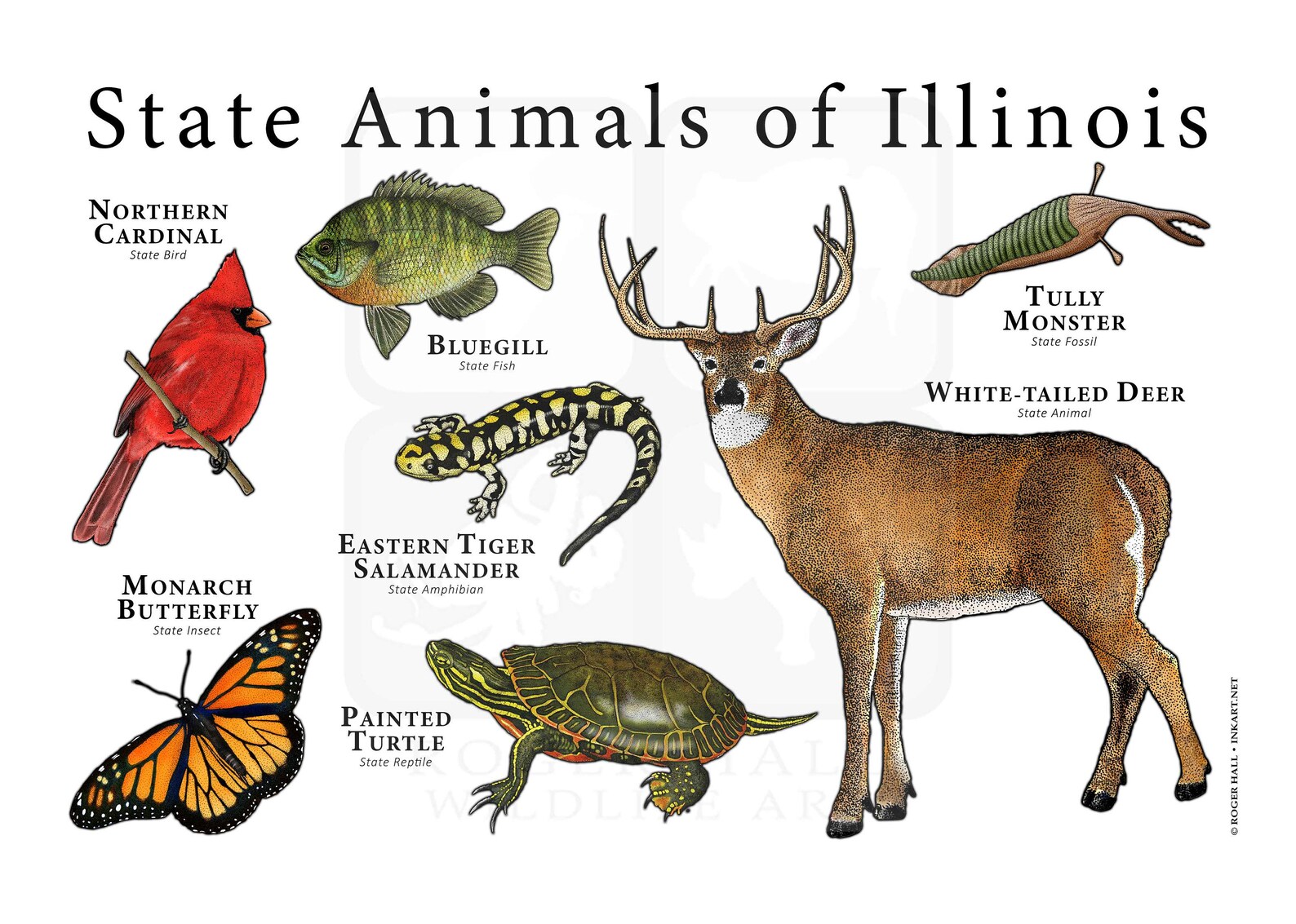 Illinois State Animals Poster Print Etsy