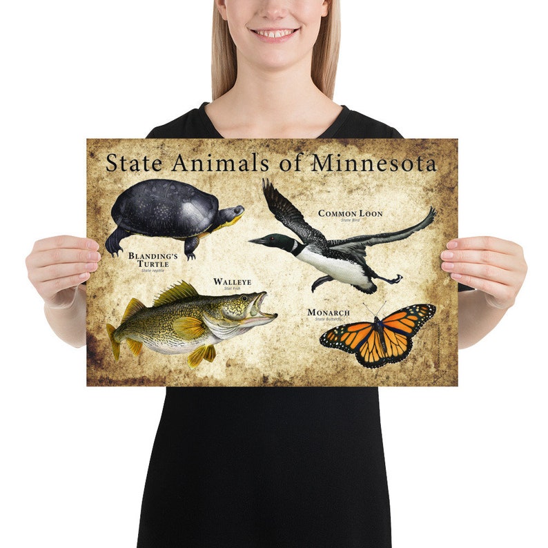 Minnesota State Animals Poster Print Etsy