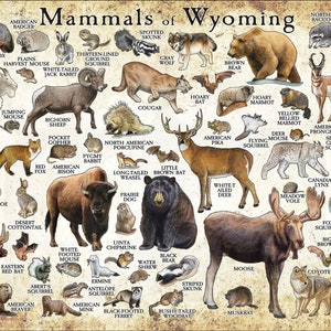Mammals of Wyoming Poster Print / Wyoming Mammals Field Guide / Animals of Wyoming Antique