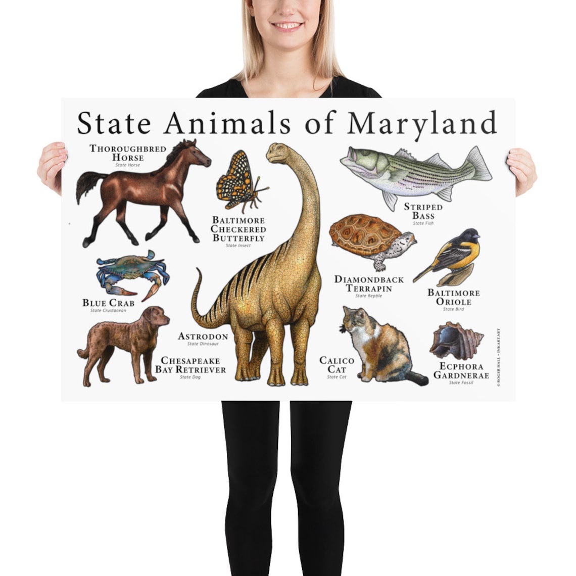Maryland State Animals Poster Print - Etsy