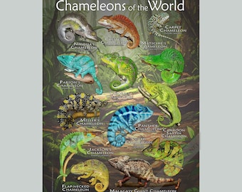 Chameleons on the World Poster - SIGNED BY ARTIST! - Etsy