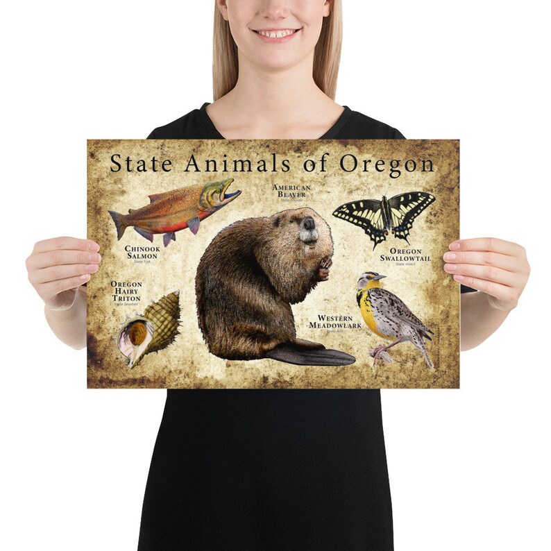 Oregon State Animals Poster Print Etsy