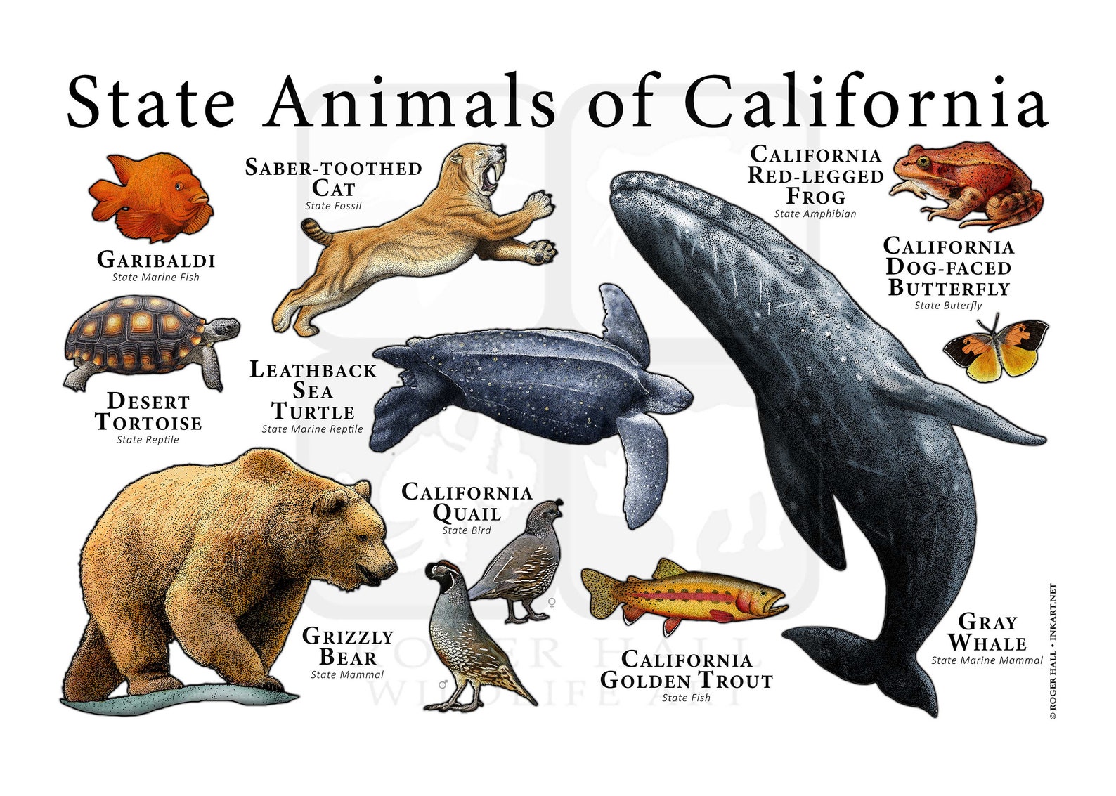California State Animals Poster Print Etsy