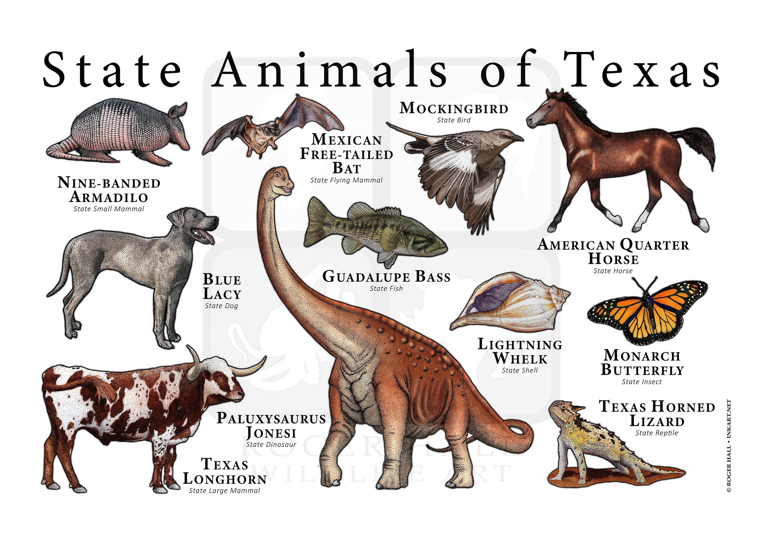 Texas State Animals Poster Print Etsy