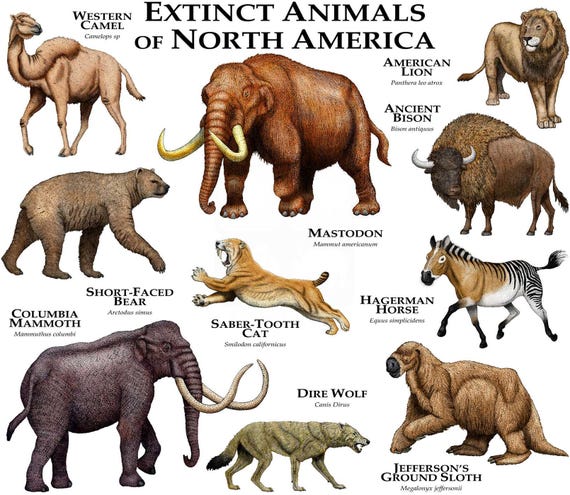 Buy Extinct Mammals of North America Poster Print Online in India - Etsy Buy Extinct Mammals of North America Poster Print Online in India - Etsy