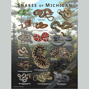 Snakes of Michigan-posterafdruk/veldgids - GESIGNEERD DOOR KUNSTENAAR