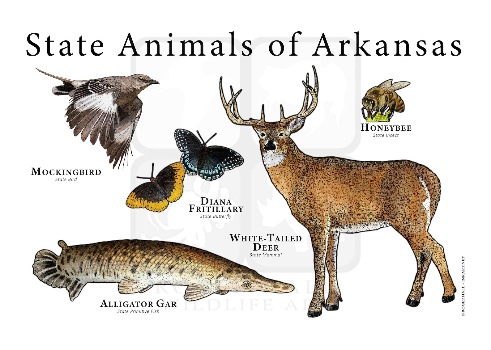 Arkansas State Animals Poster Print Etsy