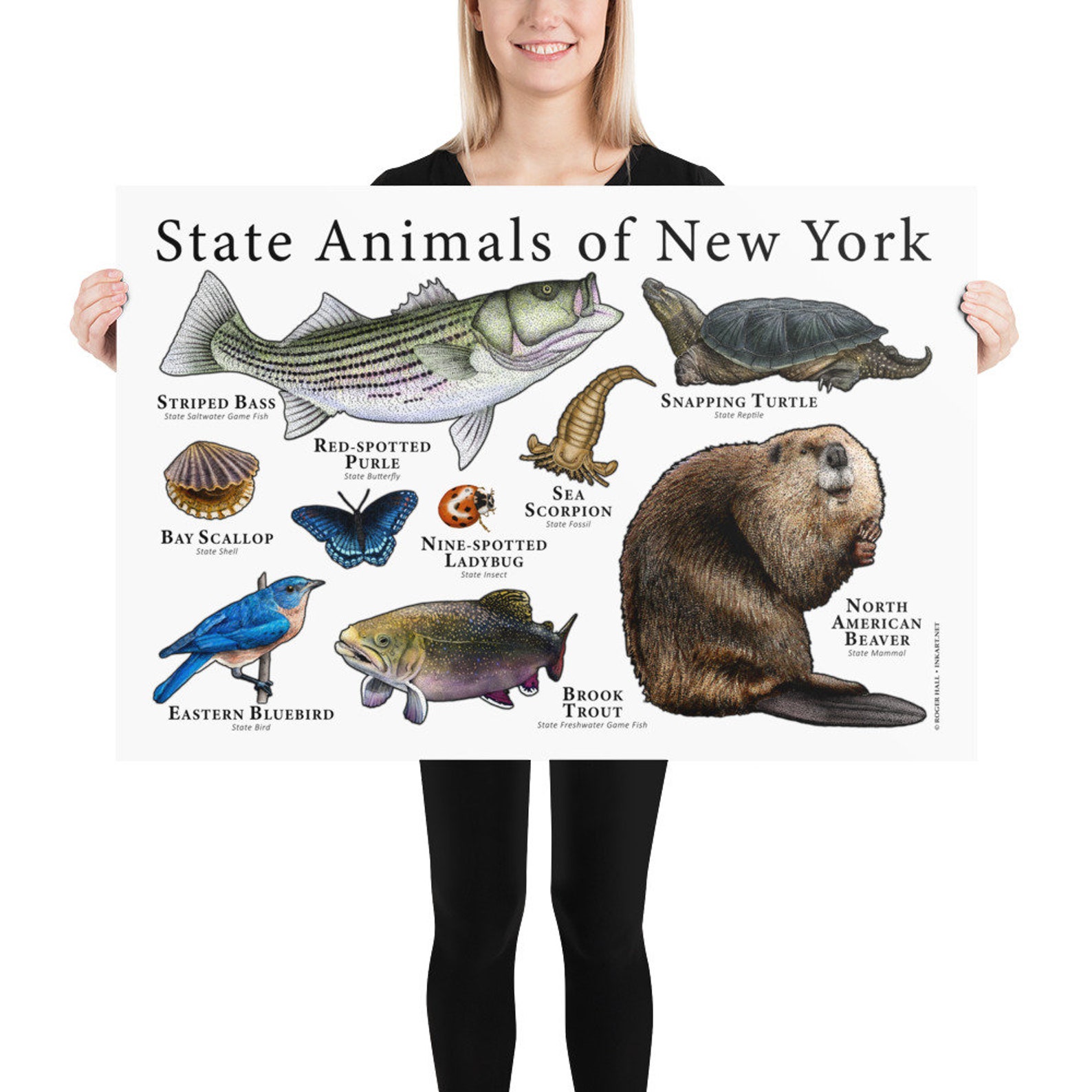 new york selling animal age law