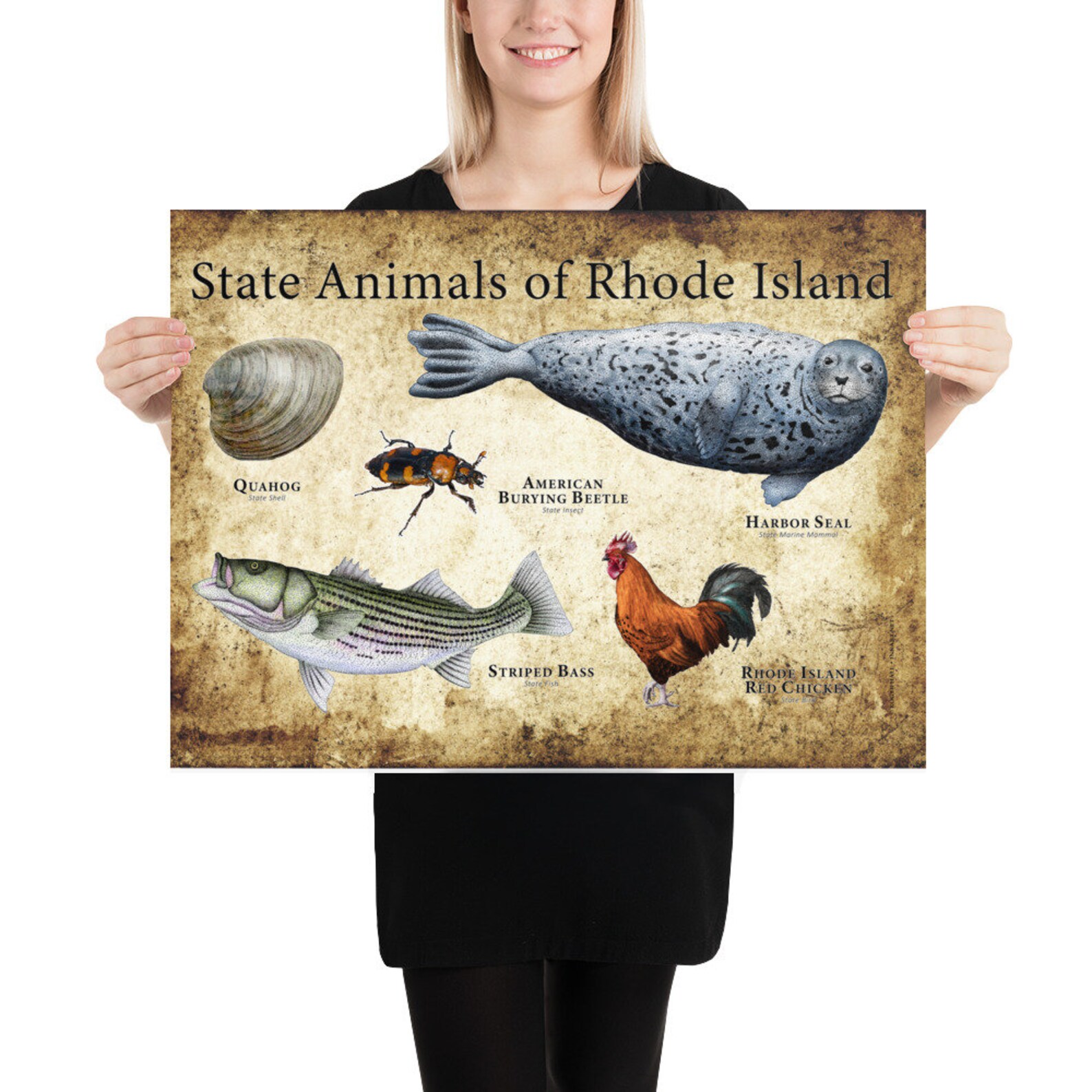 Rhode Island State Animals Poster Print Etsy