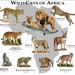 see more listings in the Mammals section
