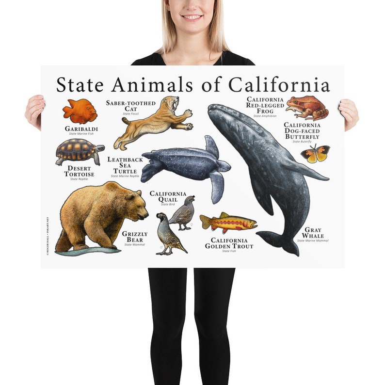 California State Animals Poster Print | Etsy