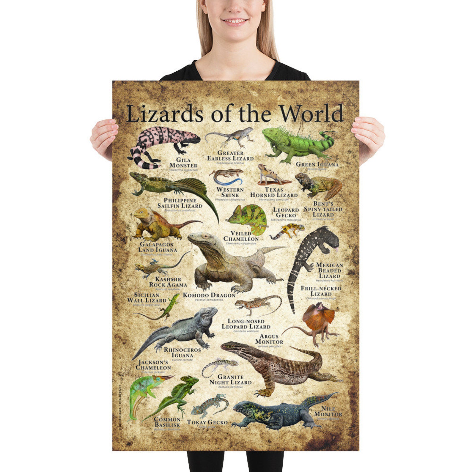 Lizards of the World Poster Print Etsy