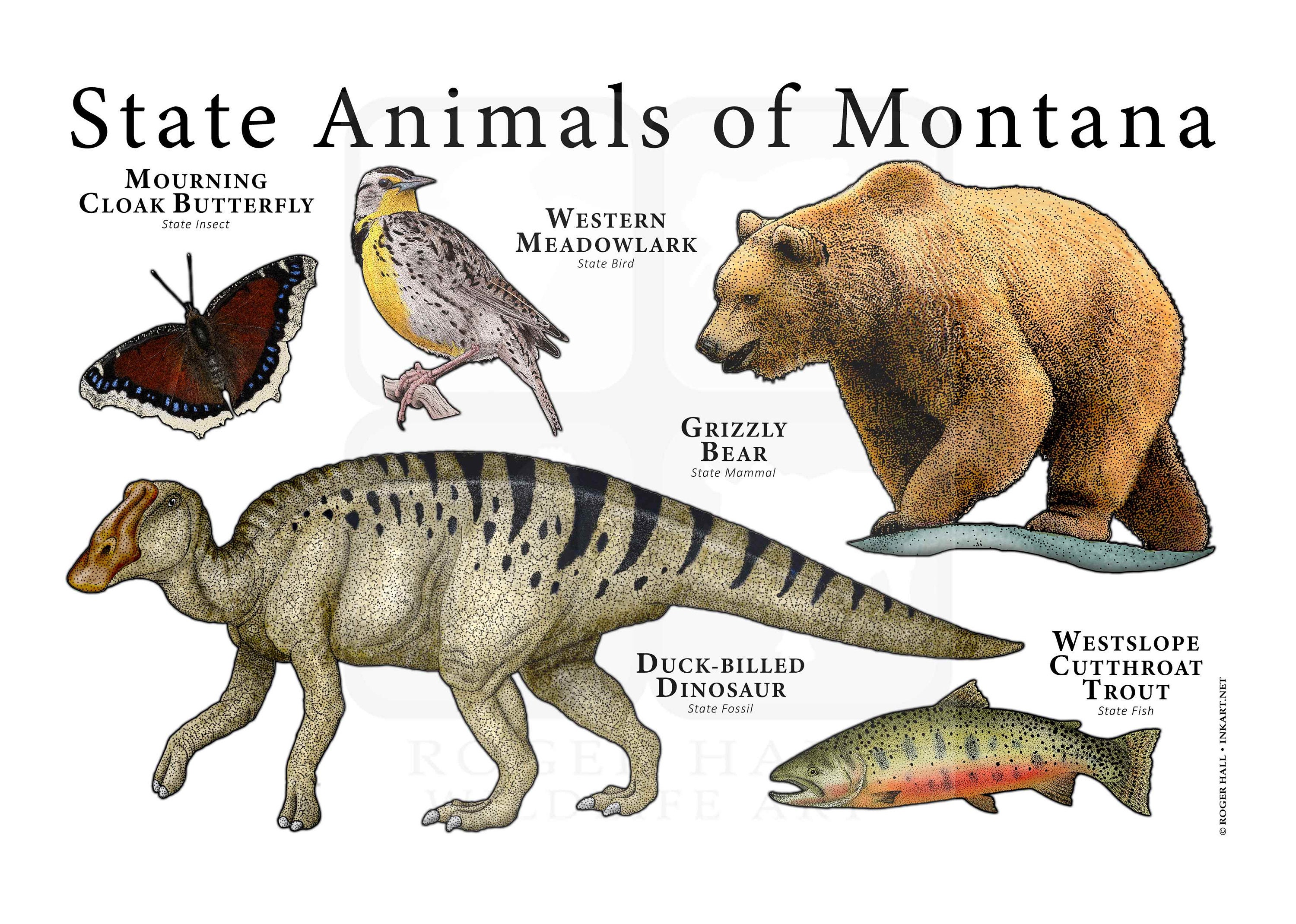 Montana State Animals Poster Print Etsy