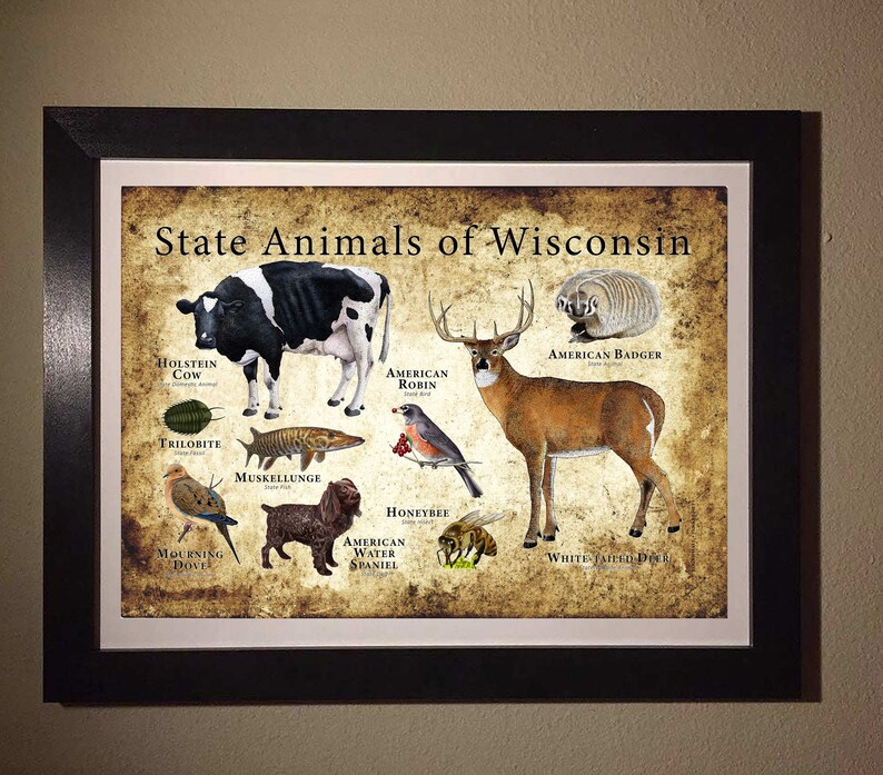 Wisconsin State Animals Poster Print Etsy