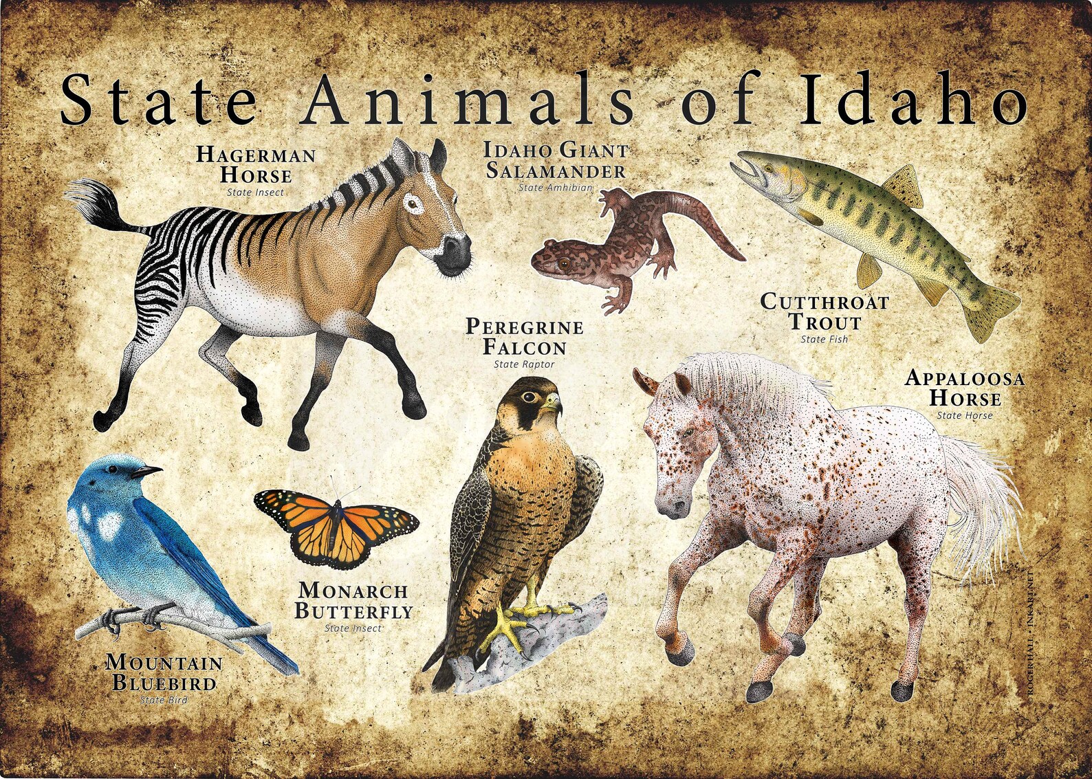 Idaho State Animals Poster Print Etsy