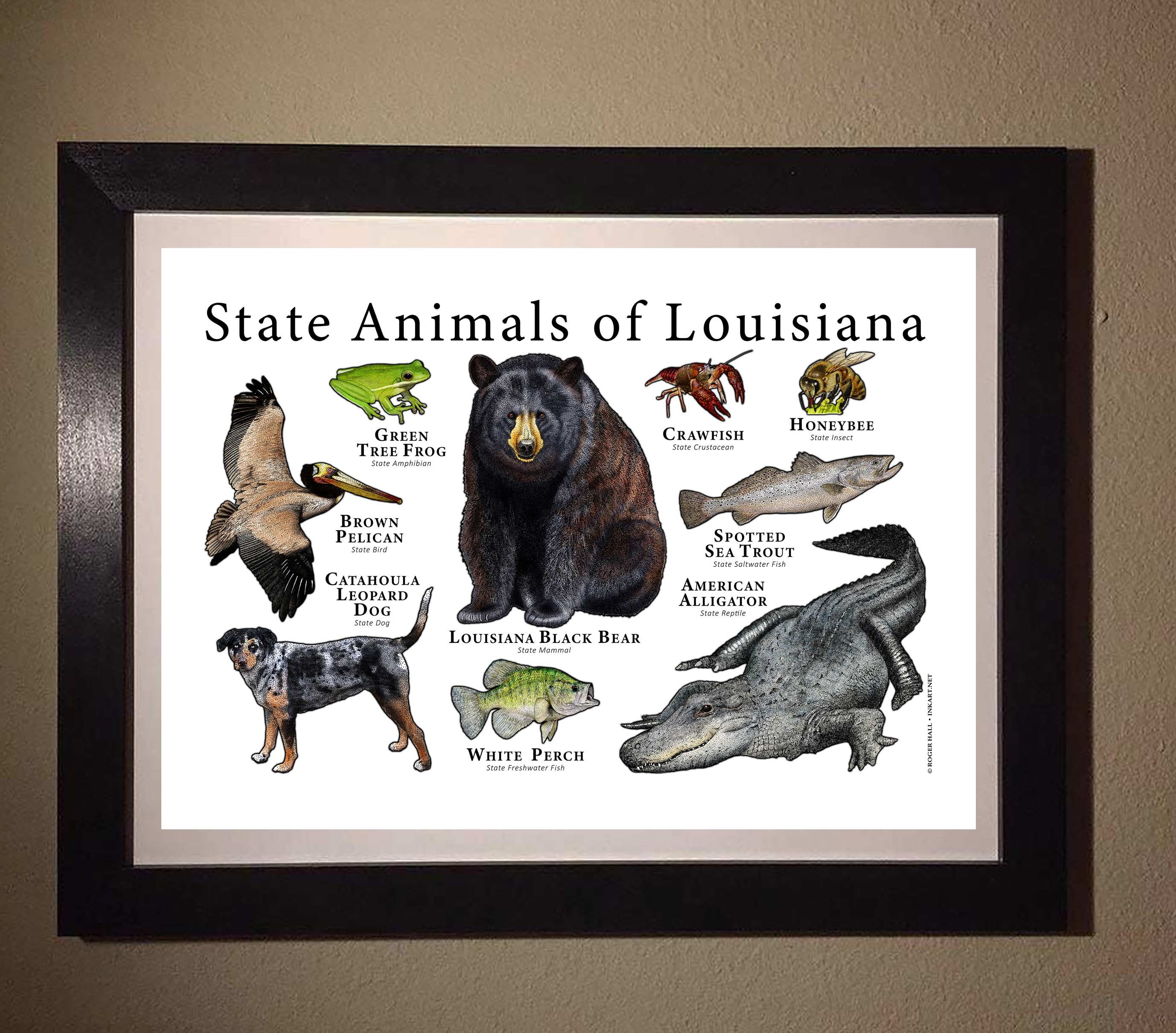 Louisiana State Animals Poster Print Etsy