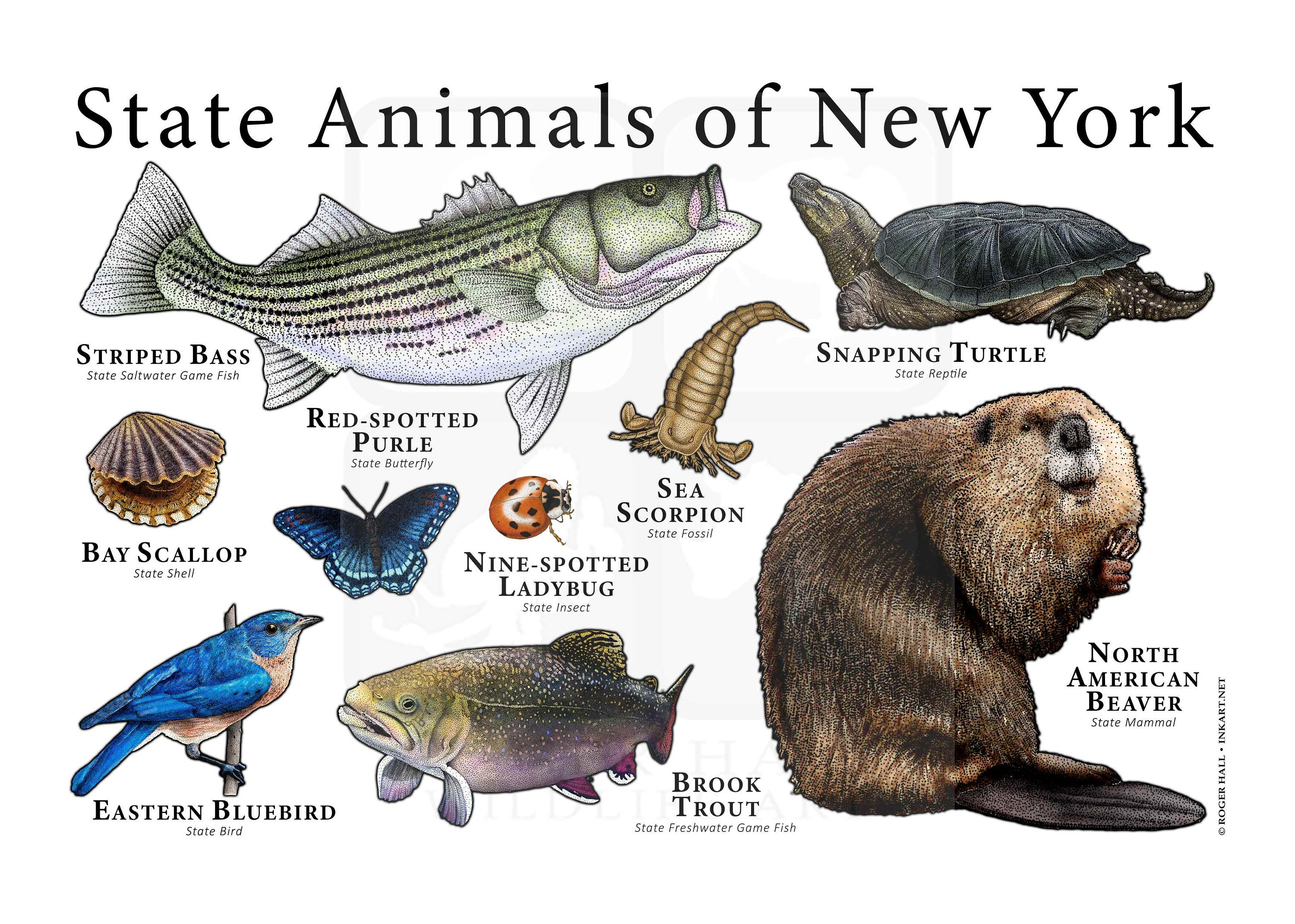 New York State Animals Poster Print Etsy