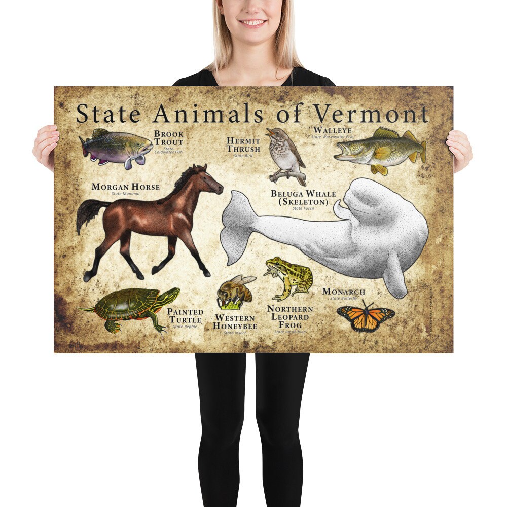 Vermont State Animals Poster Print Etsy