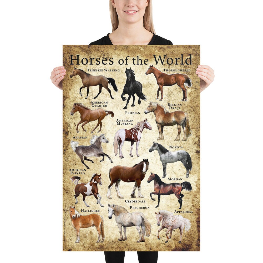 Horses of the World Poster | Etsy
