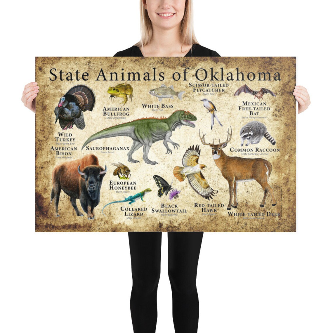 Oklahoma State Animals Poster Print - Etsy