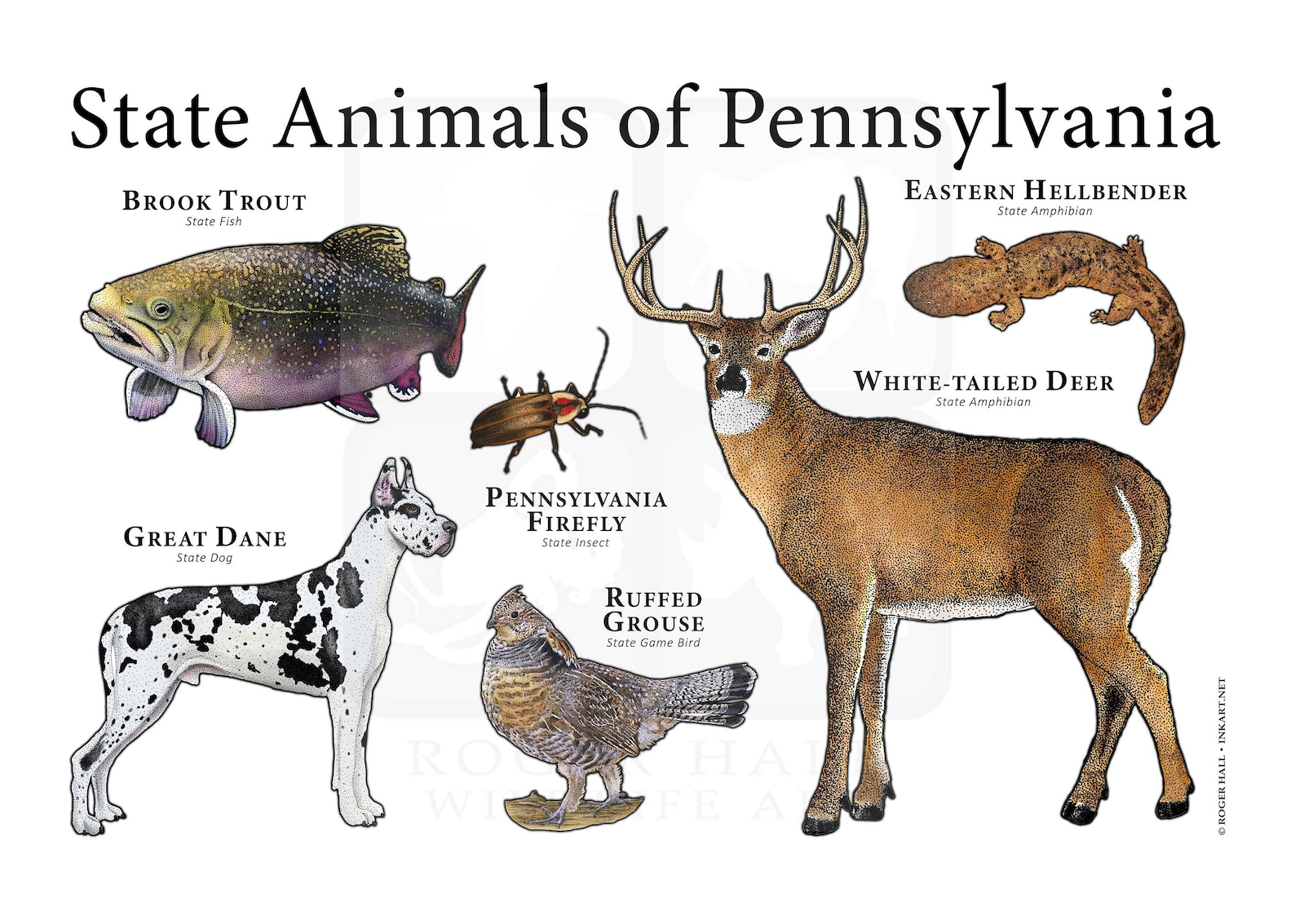 Pennsylvania State Animals Poster Print | Etsy