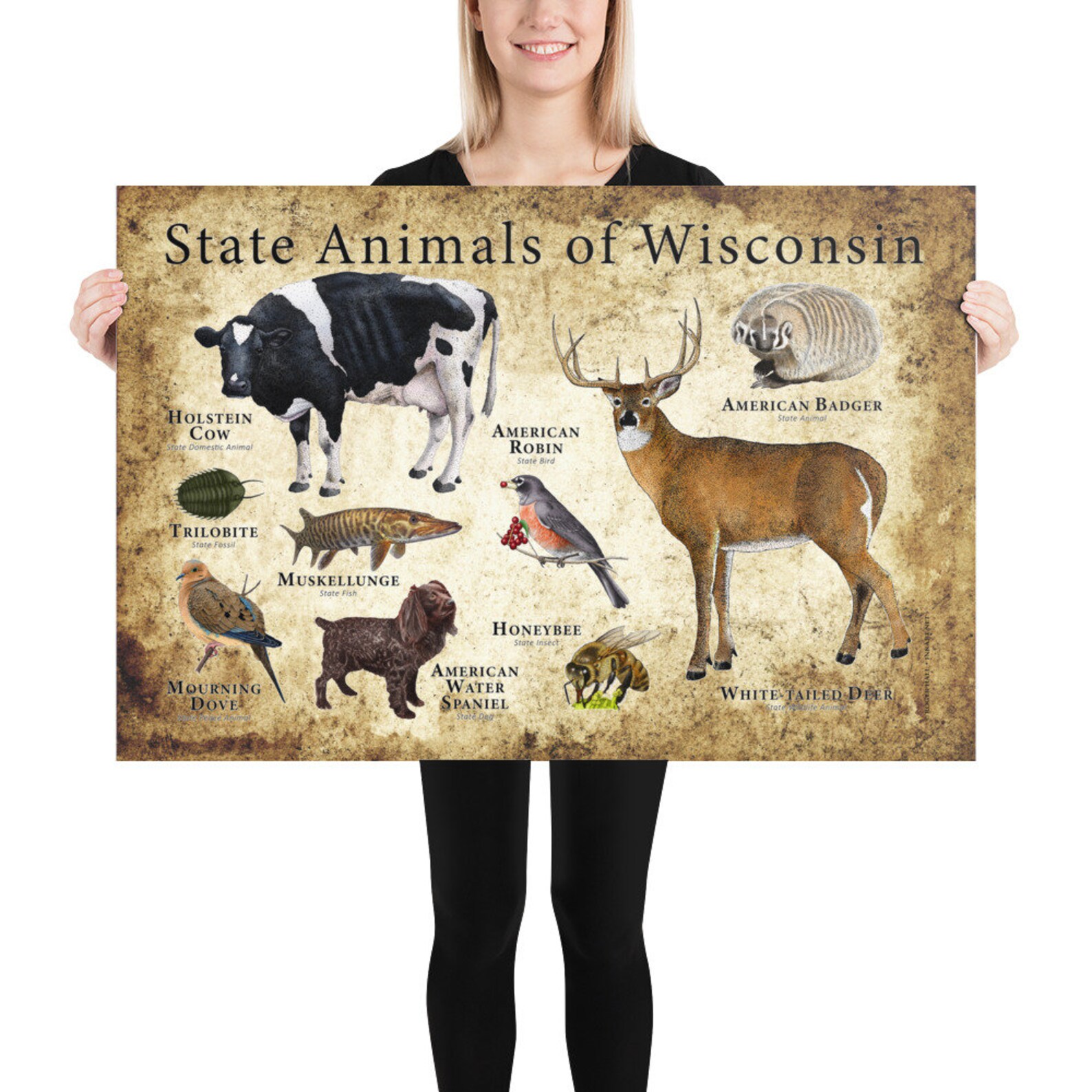 Wisconsin State Animals Poster Print Etsy