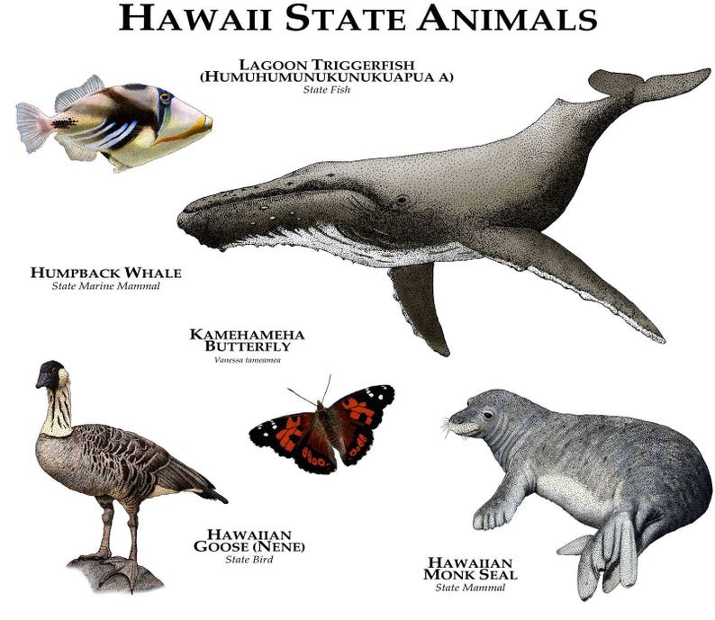 Hawaii State Animals Poster Print | Etsy