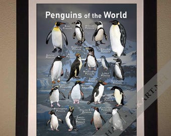 Penguins of the World Poster Print - SIGNED BY ARTIST! - Etsy
