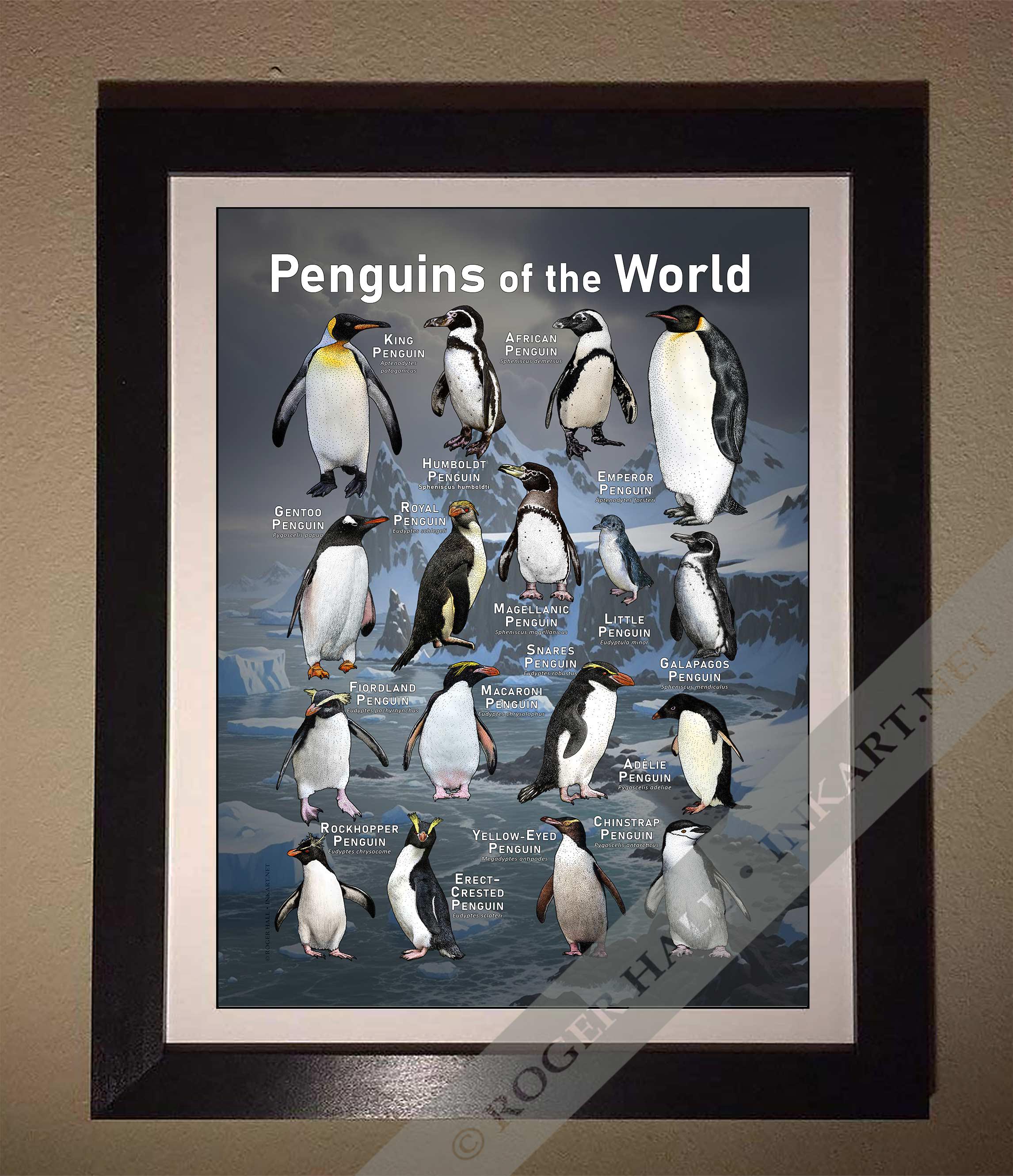 世界のペンギンのポスタープリント - アーティストのサイン入り