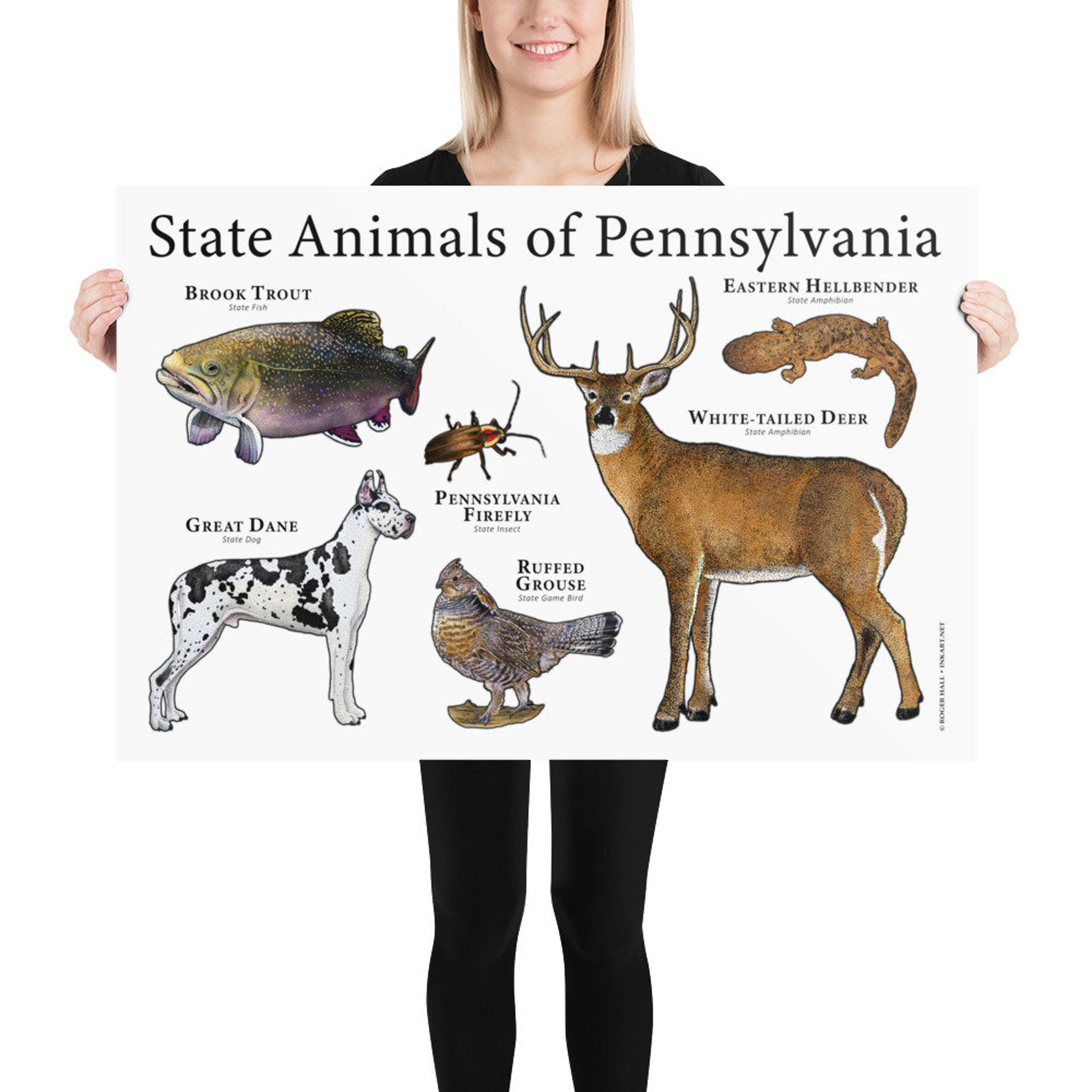 Pennsylvania State Animals Poster Print Etsy