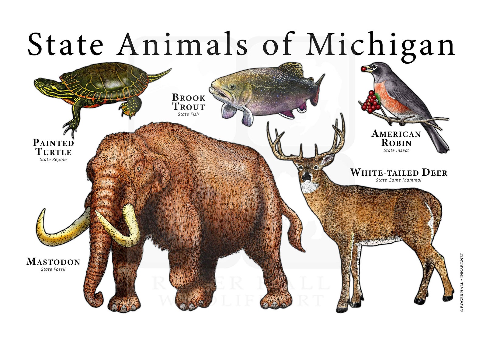 Michigan State Animals Poster Print | Etsy