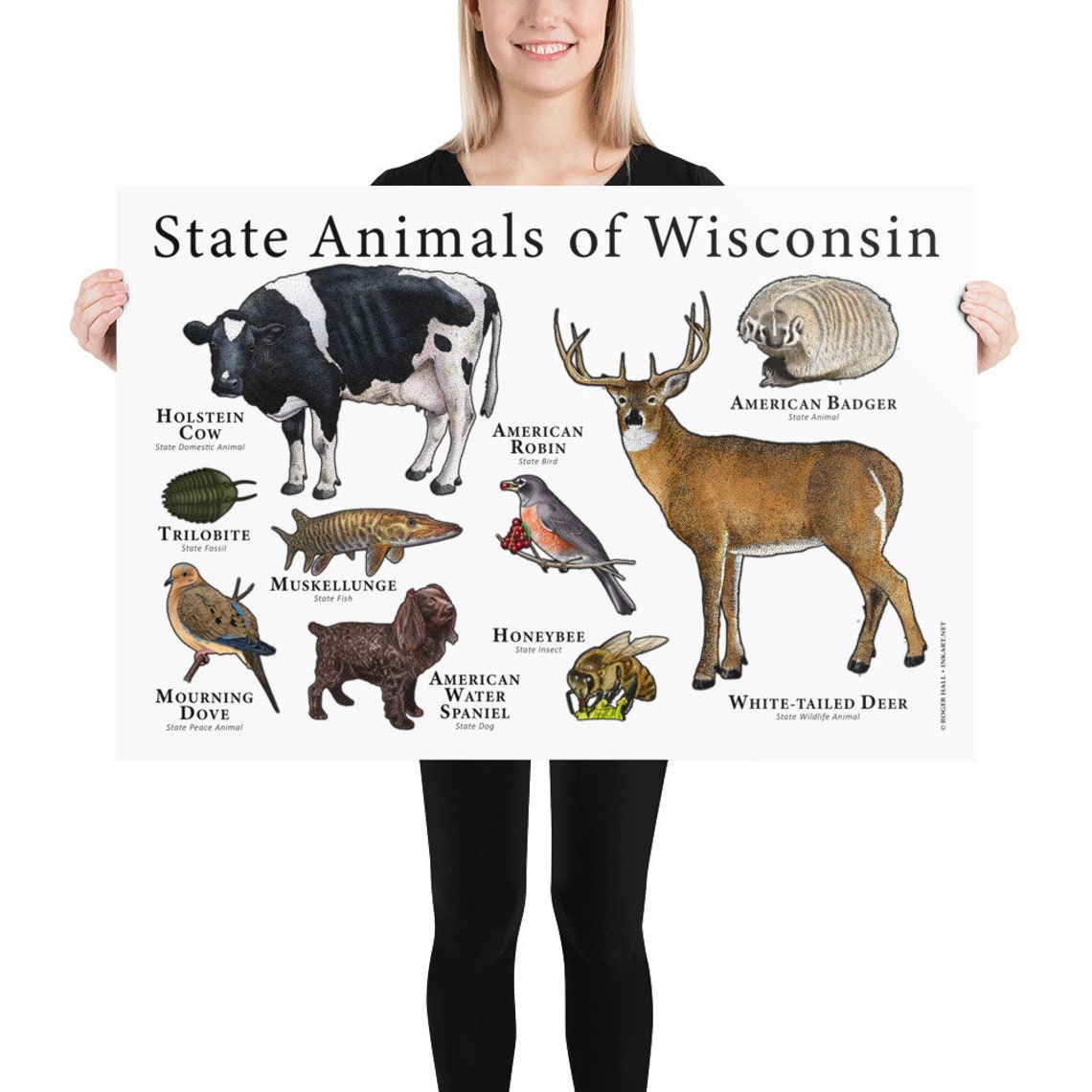 Wisconsin State Animals Poster Print Etsy