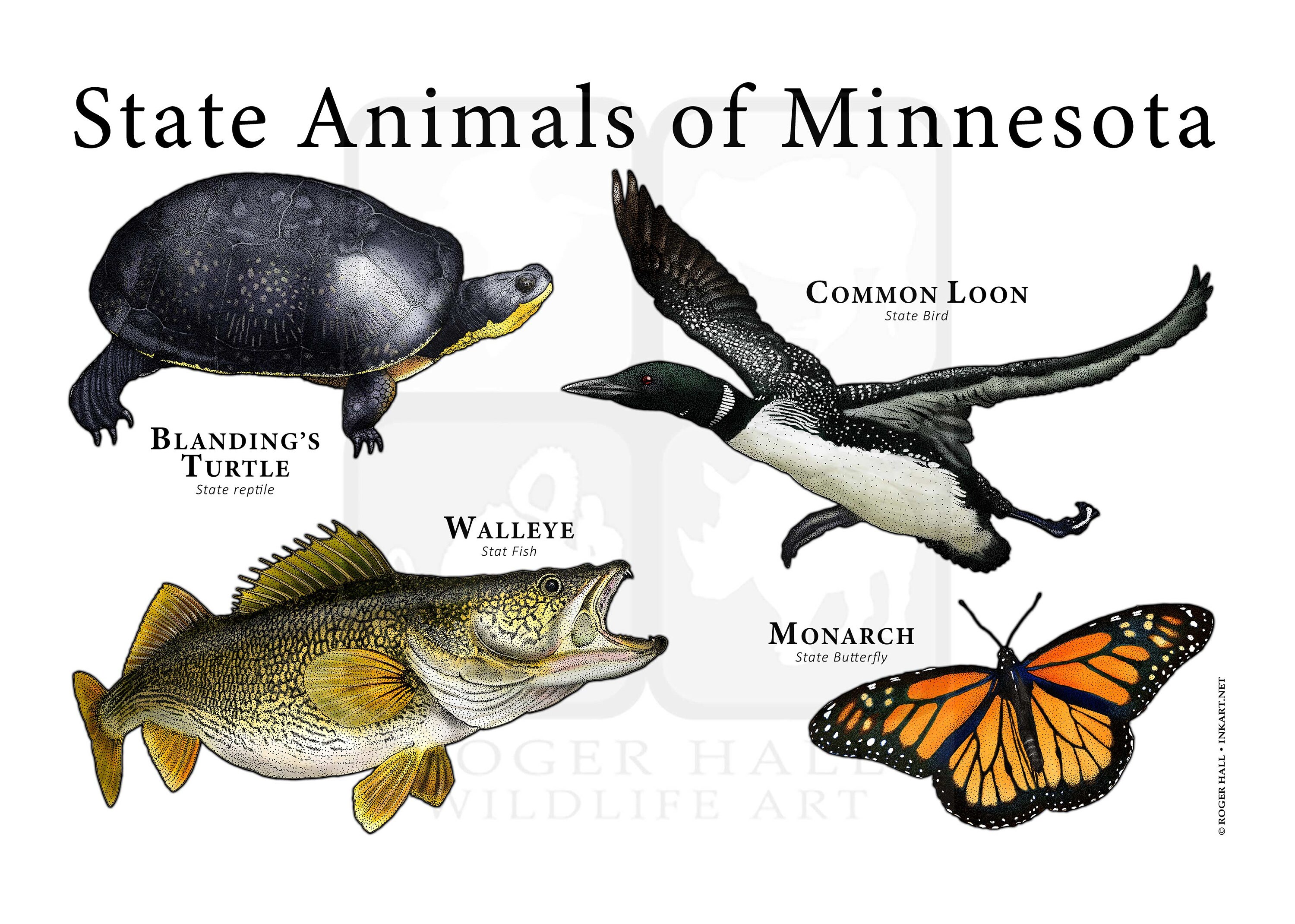 Minnesota State Animals Poster Print Etsy
