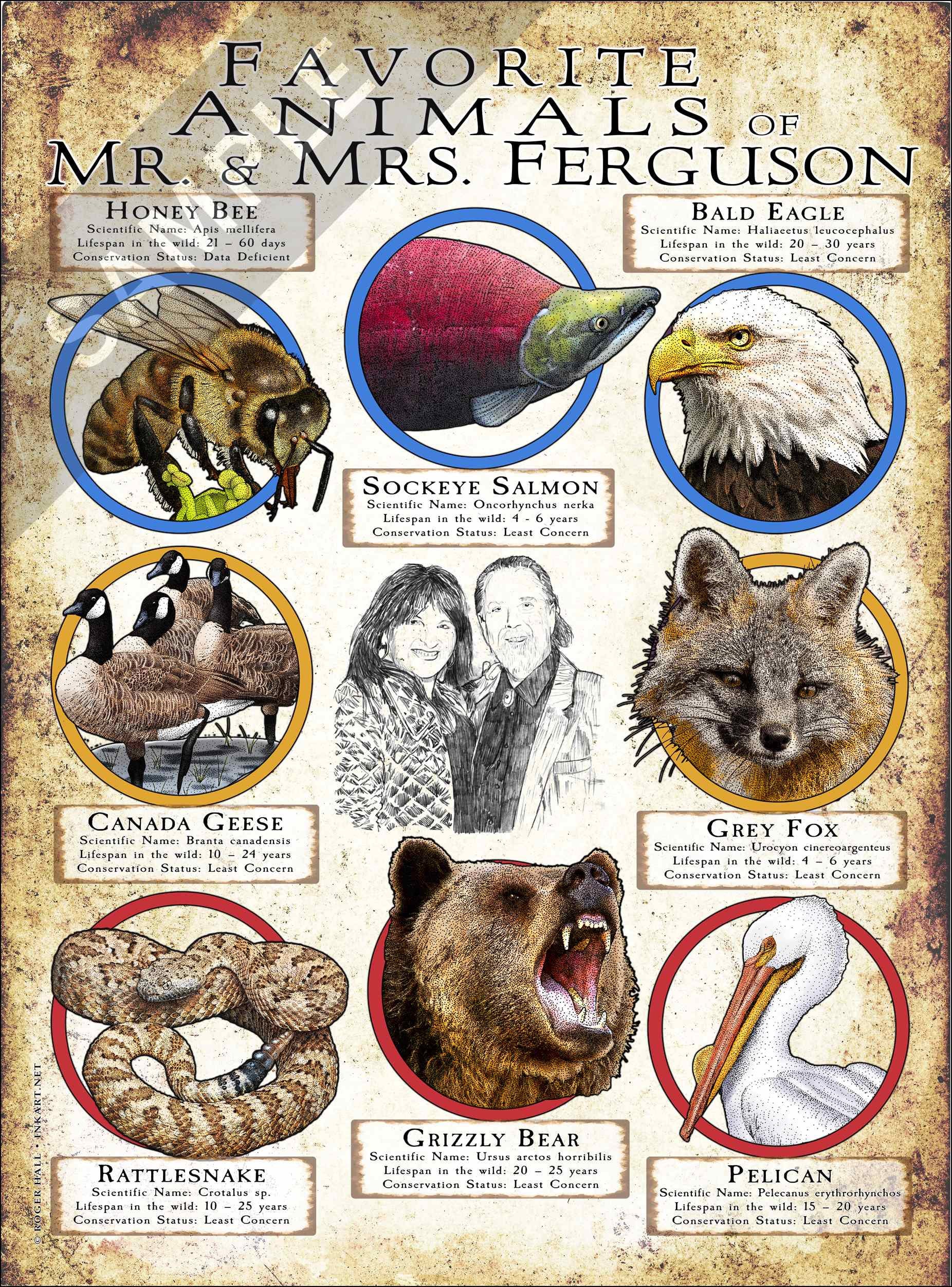 Customized favorite Animal Poster - Etsy Customized favorite Animal Poster - Etsy