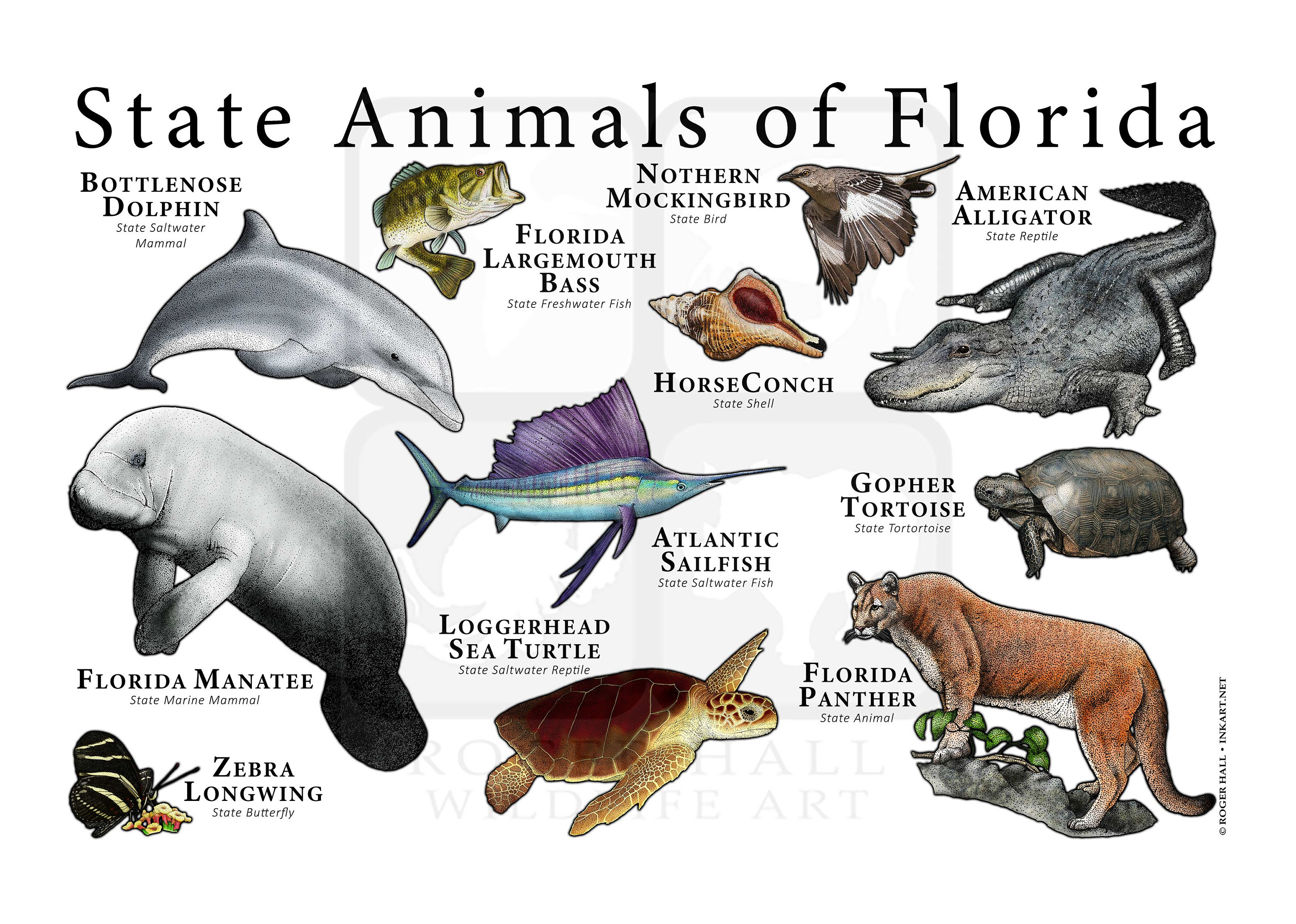 Florida State Animals Poster Print Etsy