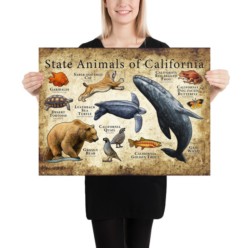 California State Animals Poster Print | Etsy
